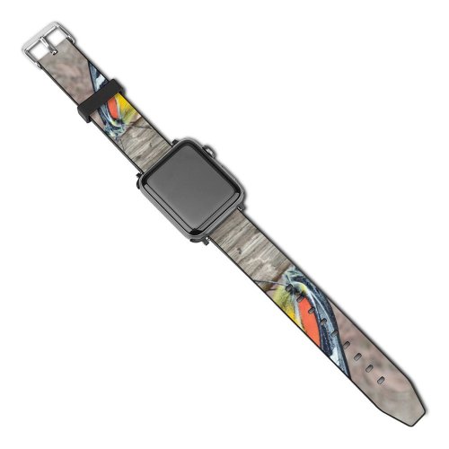 yanfind Watch Strap for Apple Watch Wallpapers Images Free Monarch Birds Broken Insect Pictures Invertebrate Wing Butterfly Compatible with iWatch Series 5 4 3 2 1