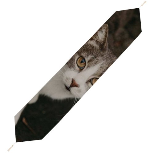 Yanfind Table Runner Funny Curiosity Sit Cute Cat Baby Little Eye Portrait Kitten Pet Whisker Everyday Dining Wedding Party Holiday Home Decor