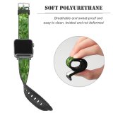 yanfind Watch Strap for Apple Watch Plants Plant Flower Leaf Flowering Tree Larch Subshrub Parsley Family Heracleum (plant) Compatible with iWatch Series 5 4 3 2 1