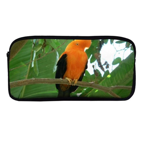 yanfind Pencil Case YHO Beak Birds Bird Branch Plant Parrot Adaptation Organism Wildlife Flight Bird Zipper Pens Pouch Bag for Student Office School