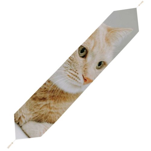 Yanfind Table Runner Funny Curiosity Sit Cute Baby Young Little Eye Kitten Whisker Fur Portrait Everyday Dining Wedding Party Holiday Home Decor