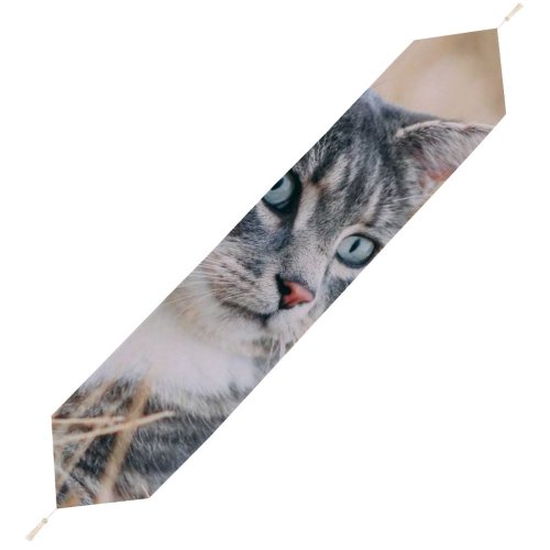 Yanfind Table Runner Young Grass Pet Outdoors Kitten Portrait Wildlife Field Curiosity Cute Cat Eye Everyday Dining Wedding Party Holiday Home Decor