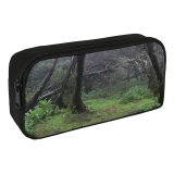 yanfind Pencil Case YHO Coniferous Morning Tropical Tree Gomera Tree Forest Fog Trail Old Growth Jurasic Zipper Pens Pouch Bag for Student Office School