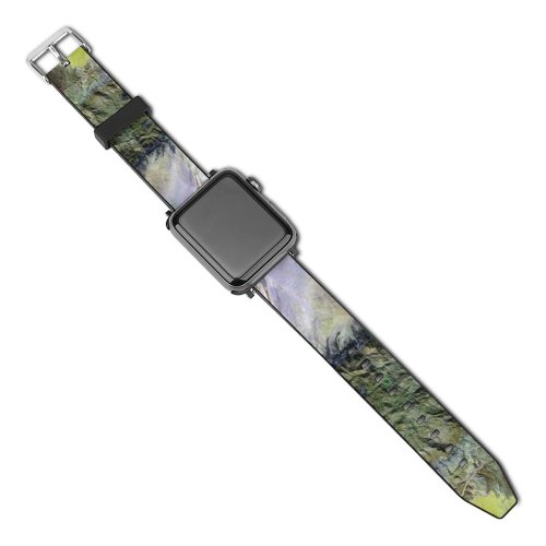 yanfind Watch Strap for Apple Watch Turtle Geographical Abstract From Free Geography Imagery Crisis + Compatible with iWatch Series 5 4 3 2 1