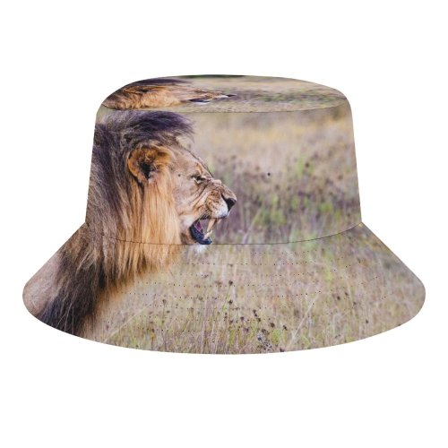 yanfind Adult Fisherman's Hat Simon Bardet Lion Roaring National Park Wild Fishing Fisherman Cap Travel Beach Sun protection