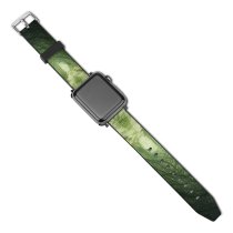 yanfind Watch Strap for Apple Watch Johannes Plenio Forest Path Fall Calm Compatible with iWatch Series 5 4 3 2 1