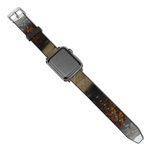 yanfind Watch Strap for Apple Watch Landscape Abies Oak Plant Forest Oaktree Pictures PNG Outdoors Tree Fir Compatible with iWatch Series 5 4 3 2 1