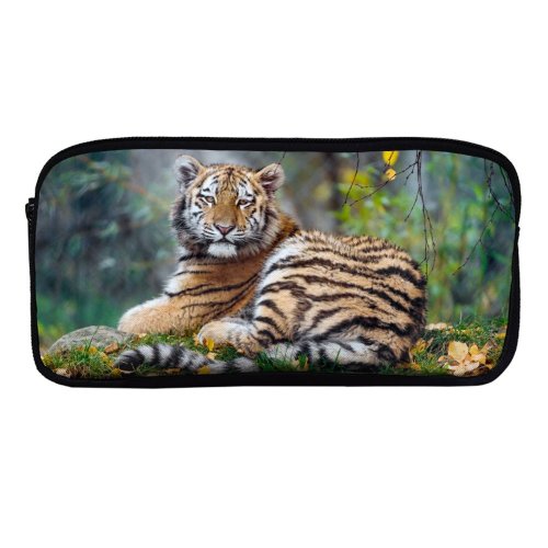 yanfind Pencil Case YHO Tambako Jaguar Young Tigress Carnivore Autumn Leaves Grass Wild Big Cat Zipper Pens Pouch Bag for Student Office School