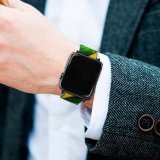 yanfind Watch Strap for Apple Watch Lizard Closeup Macro Reptile Vivid HDR Compatible with iWatch Series 5 4 3 2 1