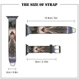 yanfind Watch Strap for Apple Watch Abyssinian Domain Public Kitten Cat Playtime Wallpapers Manx Images  Pictures Compatible with iWatch Series 5 4 3 2 1