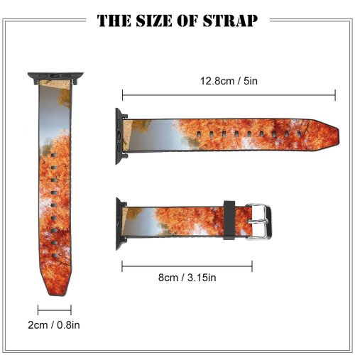 yanfind Watch Strap for Apple Watch Scenery Tree Nivelles Boulevard Plant Parc Wallon Leaf La PNG Brabant Compatible with iWatch Series 5 4 3 2 1