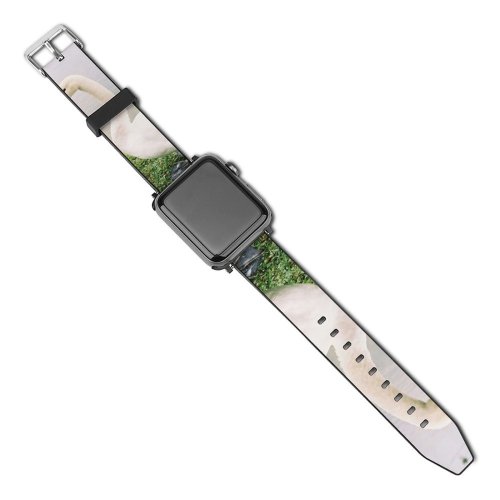 yanfind Watch Strap for Apple Watch  Feathers Lake Bank Trees Bird Beak Ducks Geese Swans Waterfowl Duck Compatible with iWatch Series 5 4 3 2 1