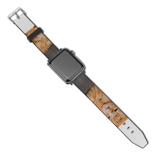yanfind Watch Strap for Apple Watch Funny Curiosity Sit Cute Little Young  Portrait Kitten Pet Whisker Downy Compatible with iWatch Series 5 4 3 2 1