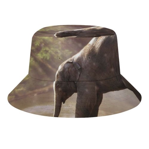 yanfind Adult Fisherman's Hat Comfreak Elephant Cub Rocks River Sun Rays Waterhole Daytime Fishing Fisherman Cap Travel Beach Sun protection