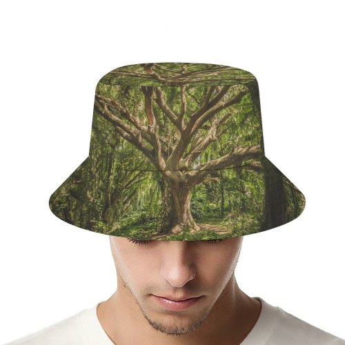 yanfind Adult Fisherman's Hat Images Land Flora HQ Landscape Public Wallpapers Fantasy Plant Outdoors Tree Forest Fishing Fisherman Cap Travel Beach Sun protection
