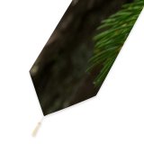Yanfind Table Runner Abies Tree Pine Plant Fir Larch Free Spruce Stock Wallpapers Images Everyday Dining Wedding Party Holiday Home Decor
