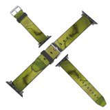 yanfind Watch Strap for Apple Watch Algae Scenery Field Tree Bedretto Plant Basin PNG Outdoors Wallpapers Land Compatible with iWatch Series 5 4 3 2 1