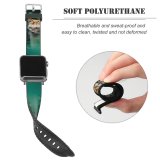 yanfind Watch Strap for Apple Watch Funny Curiosity Cute  Pretty  Staring Tabby Pet Whisker Fur Portrait Compatible with iWatch Series 5 4 3 2 1