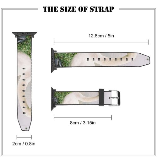yanfind Watch Strap for Apple Watch  Feathers Lake Bank Trees Bird Beak Ducks Geese Swans Waterfowl Duck Compatible with iWatch Series 5 4 3 2 1