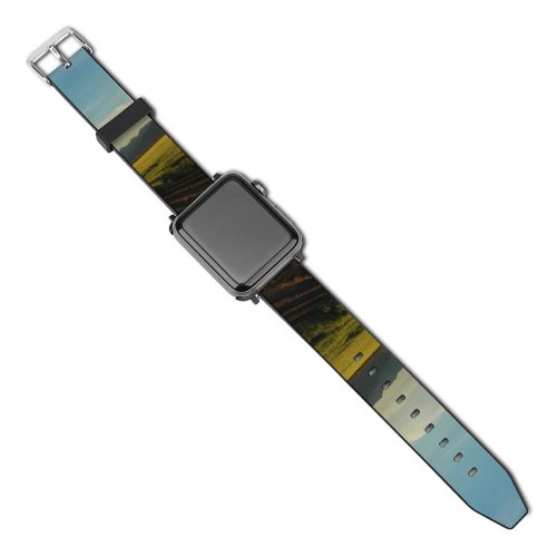 yanfind Watch Strap for Apple Watch Dry Countryside Relaxed Mexico Growing Sonora Highway Pictures Late Grassland Cloud Compatible with iWatch Series 5 4 3 2 1