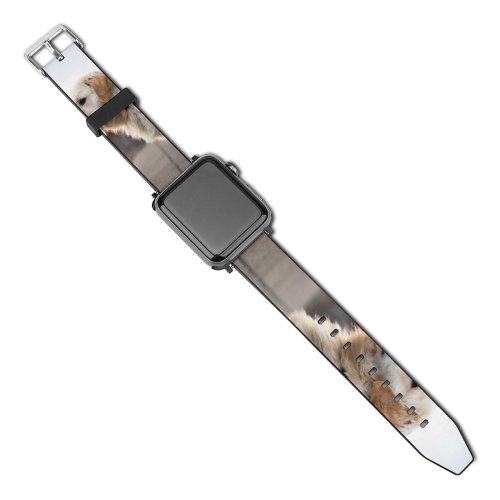 yanfind Watch Strap for Apple Watch Dog Pet Wallpapers Free Pictures Grey Goldenretriever Golden Images Compatible with iWatch Series 5 4 3 2 1