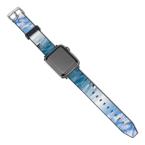 yanfind Watch Strap for Apple Watch Fun Maldives Sea Outdoors Leisure Beach  Boat Watercraft Ocean Recreation Ski Compatible with iWatch Series 5 4 3 2 1