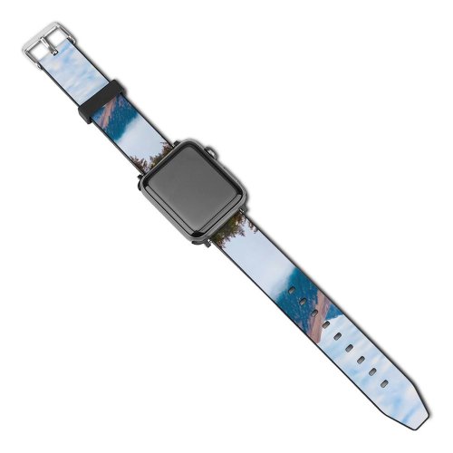 yanfind Watch Strap for Apple Watch Abies Pine Plant Spruce Pictures Stock Austria Indian Grey Tree Garmisch Compatible with iWatch Series 5 4 3 2 1