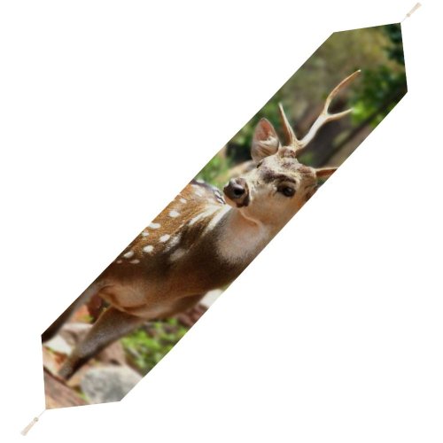 Yanfind Table Runner Blur Focus Boulders Depth Daylight Field Wildlife India Outdoors Horns Stones Deer Everyday Dining Wedding Party Holiday Home Decor