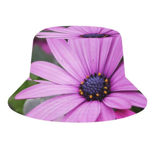 yanfind Adult Fisherman's Hat Flowers Daisy Flowers Purple Flowers Flowers Bokeh Garden Closeup Macro Bloom Blossom Fishing Fisherman Cap Travel Beach Sun protection