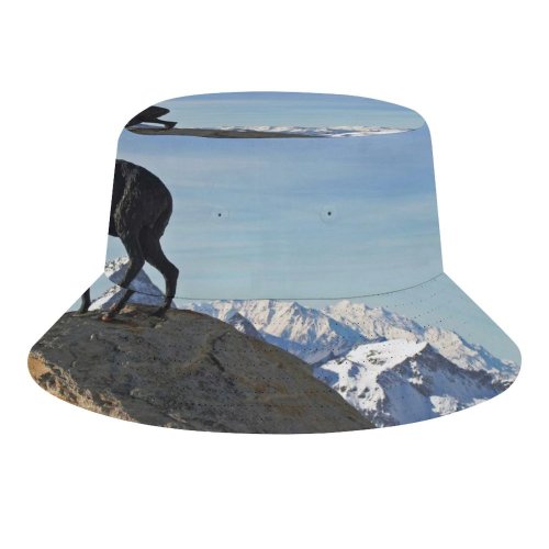 yanfind Adult Fisherman's Hat Winter Goat Landscape Mountain Chamois Goats Rocks Ice Cow Mountain Landscapes Family Fishing Fisherman Cap Travel Beach Sun protection