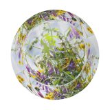 yanfind Adult Fisherman's Hat Images Floral Vines Flora Spring Wildflowers California Flowers Aster Wallpapers Mimosa Plant Fishing Fisherman Cap Travel Beach Sun protection