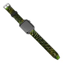 yanfind Watch Strap for Apple Watch Abies Pine Plant Domain Flowerdone Spruce Joy Pictures Tree  Fir Compatible with iWatch Series 5 4 3 2 1
