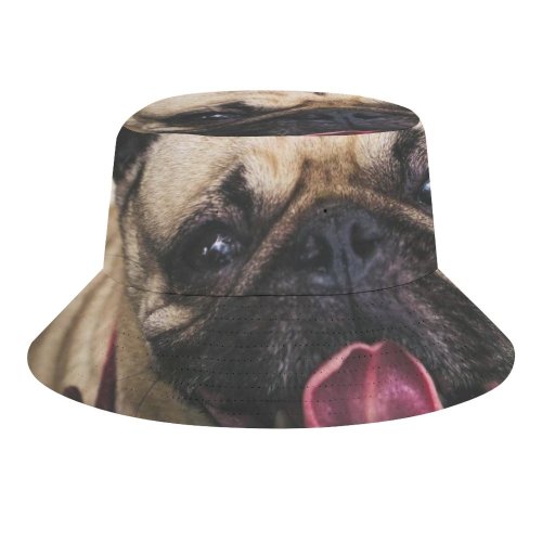 yanfind Adult Fisherman's Hat Lovely Images Nuevo Pet Laredo Eye Panting Public Tongue Wallpapers Lick Pictures Fishing Fisherman Cap Travel Beach Sun protection
