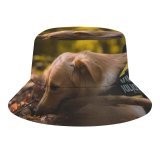 yanfind Adult Fisherman's Hat Lovely Golden Images Pet Wallpapers Plant Free Forest Pictures Strap Dog Leaf Fishing Fisherman Cap Travel Beach Sun protection