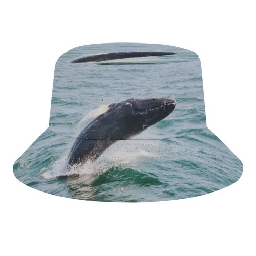 yanfind Adult Fisherman's Hat Open Images Splash Ocean Life Sea Wallpapers Wildlife Waves Harbor Travel Stock Fishing Fisherman Cap Travel Beach Sun protection
