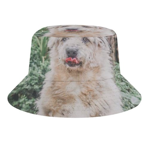 yanfind Adult Fisherman's Hat Lovely Images Pet Wallpapers Plant Outdoors Pictures Creative Grey Dog Commons Fishing Fisherman Cap Travel Beach Sun protection