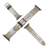 yanfind Watch Strap for Apple Watch Anja  Leaves Flying Bird Feathers  Plumage Branch Compatible with iWatch Series 5 4 3 2 1