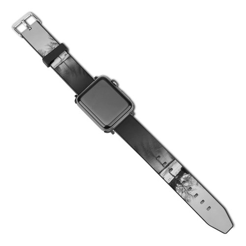 yanfind Watch Strap for Apple Watch Trees Lake Snow Winter Coldness Season Outdoor Scenery Landscape Frost Frosty Grey Compatible with iWatch Series 5 4 3 2 1