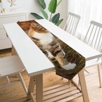 Yanfind Table Runner Young Grass Pet Wild Outdoors Kitten Portrait Tabby Wildlife Cute Little Face Everyday Dining Wedding Party Holiday Home Decor