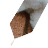 Yanfind Table Runner Funny Curiosity Outdoors Sit Cute Cat Eye Portrait Staring Kitten Pet Fur Everyday Dining Wedding Party Holiday Home Decor