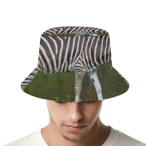 yanfind Adult Fisherman's Hat Images Country Fl Wildlife Wallpapers Safari Stock Loxahatchee Free Stripes Zebra Pictures Fishing Fisherman Cap Travel Beach Sun protection