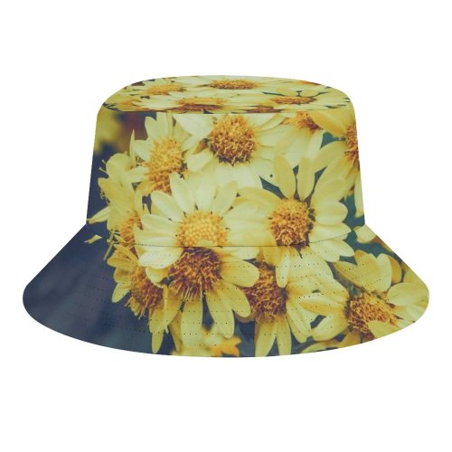yanfind Adult Fisherman's Hat Images Fall Autumn Petal Aster Grass Wallpapers Plant Asteraceae Pollen Free Pictures Fishing Fisherman Cap Travel Beach Sun protection