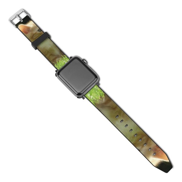 yanfind Watch Strap for Apple Watch Pussy Kittens Cat Cats Sweet Young Jonge Poesjes Baby Little Vertebrate Whiskers- Compatible with iWatch Series 5 4 3 2 1