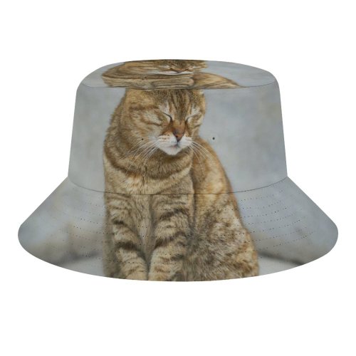 yanfind Adult Fisherman's Hat Lovely Images Pretty Pet Manx Wallpapers Abyssinian Beauty Sweet Tabby Pictures Sleep Fishing Fisherman Cap Travel Beach Sun protection