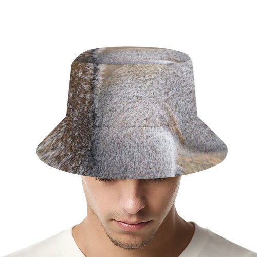 yanfind Adult Fisherman's Hat Wildlife Vertebrate Ground Squirrel Terrestrial Fox Squirrel Grey Squirrels Whiskers Wildlife Rodent Fishing Fisherman Cap Travel Beach Sun protection