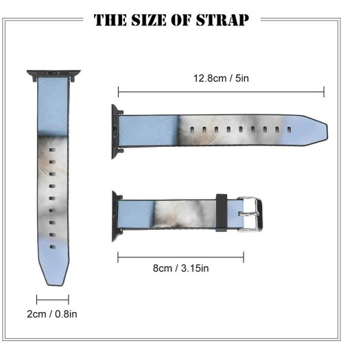 yanfind Watch Strap for Apple Watch Funny Curiosity Cute Cat Young Little  Portrait Tabby Pet Whisker Downy Compatible with iWatch Series 5 4 3 2 1