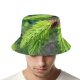 yanfind Adult Fisherman's Hat Winter Spruce Evergreen LyalliiSubalpine Balsam Cone Shortleaf Pine Loblolly Shortstraw Larix Larch Fishing Fisherman Cap Travel Beach Sun protection