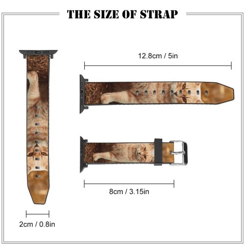 yanfind Watch Strap for Apple Watch Funny Curiosity Sit Cute Little Young  Curious Ginger Kitten Whisker Fur Compatible with iWatch Series 5 4 3 2 1