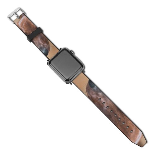 yanfind Watch Strap for Apple Watch Dog Pet Wallpapers Free Pictures Wood Hound Grey Images Snout Beagle Compatible with iWatch Series 5 4 3 2 1