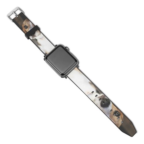 yanfind Watch Strap for Apple Watch Dog Pet Pictures Hound Creative Images Commons Beagle Compatible with iWatch Series 5 4 3 2 1